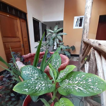 The Belle View Inn Bed & Breakfast Moshi Esterno foto